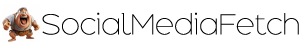 SocialMediaFetch